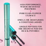 Better Than Sex Lashes “Try It All” Set