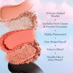 Sweet Peach Eye Shadow Palette, NET WT. 0.32 OZ. / 9.0 g